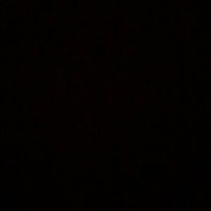 Meet your Posher, Masani